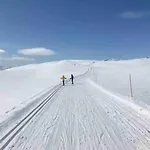 Fjelltun *