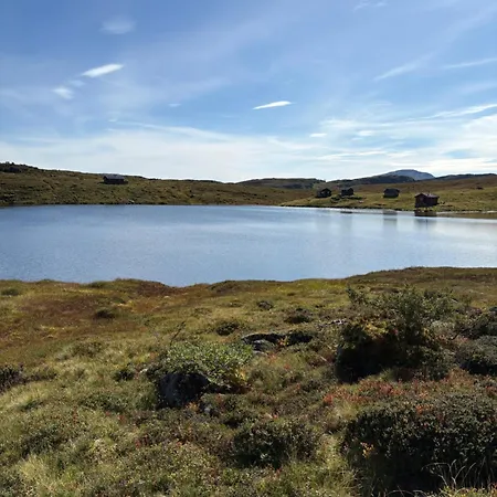 Fjelltun *