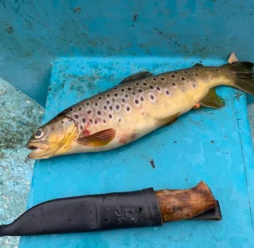 Fjelltun Согндал